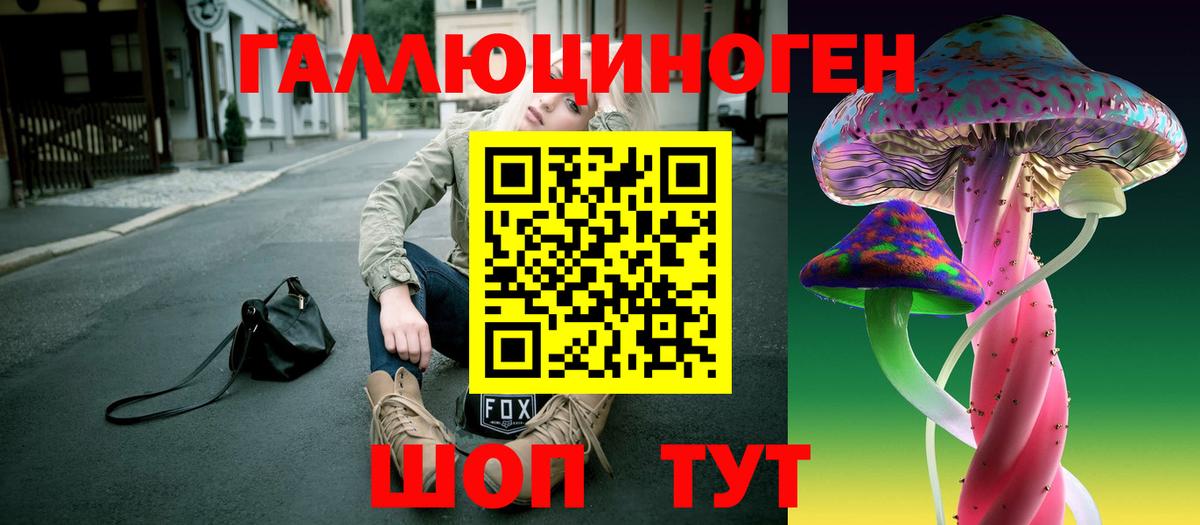 Псилоцибиновые грибы GOLDEN TEACHER  цена наркотик  Заводоуковск 