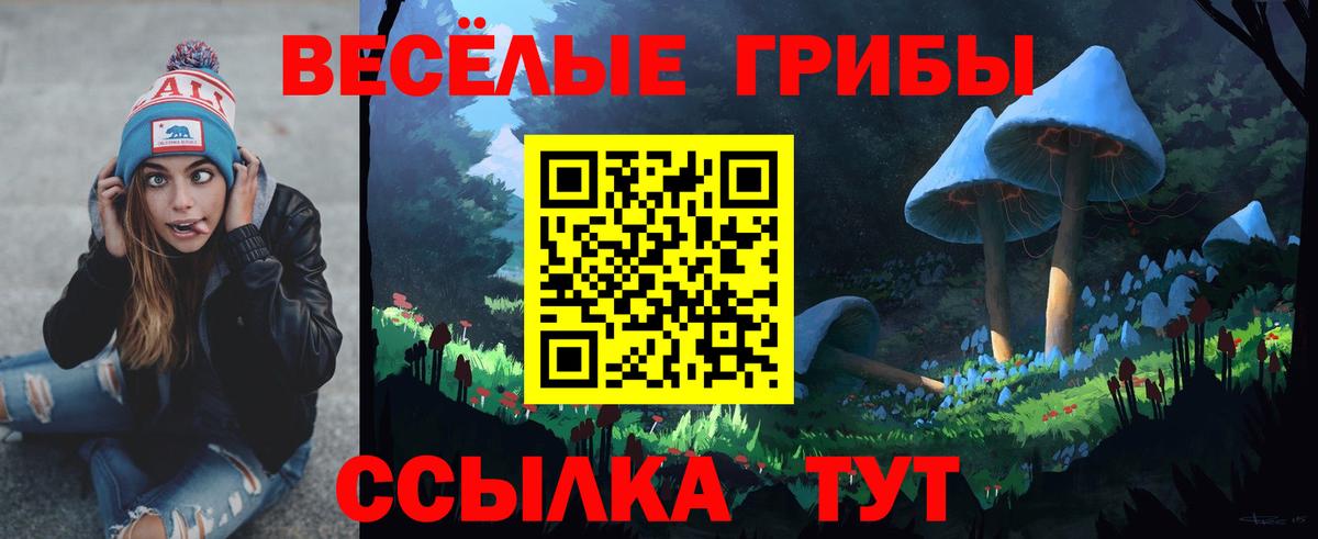 Галлюциногенные грибы MAGIC MUSHROOMS Заводоуковск