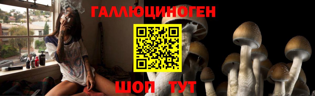 Псилоцибиновые грибы Psilocybe  Псилоцибиновые грибы GOLDEN TEACHER  Заводоуковск  Вход с VPN 